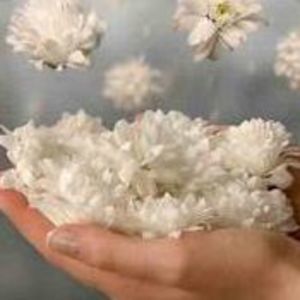 Meet your Posher, Hanan